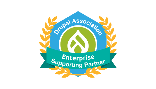 Enterprise Supporting Partner